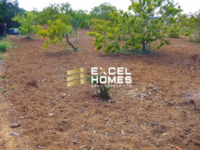 Недвижимость в Għargħur